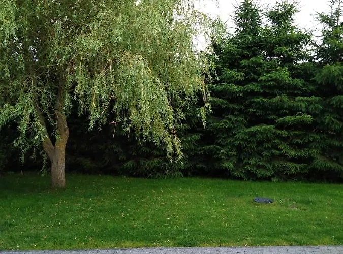 Uroczy Zakatek Gąski