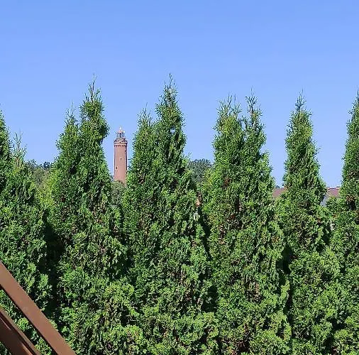 Uroczy Zakatek * Gąski